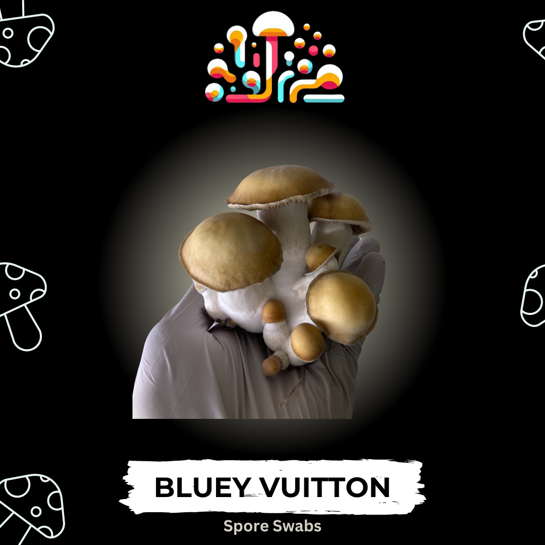 Bluey Vuitton Spore Swabs