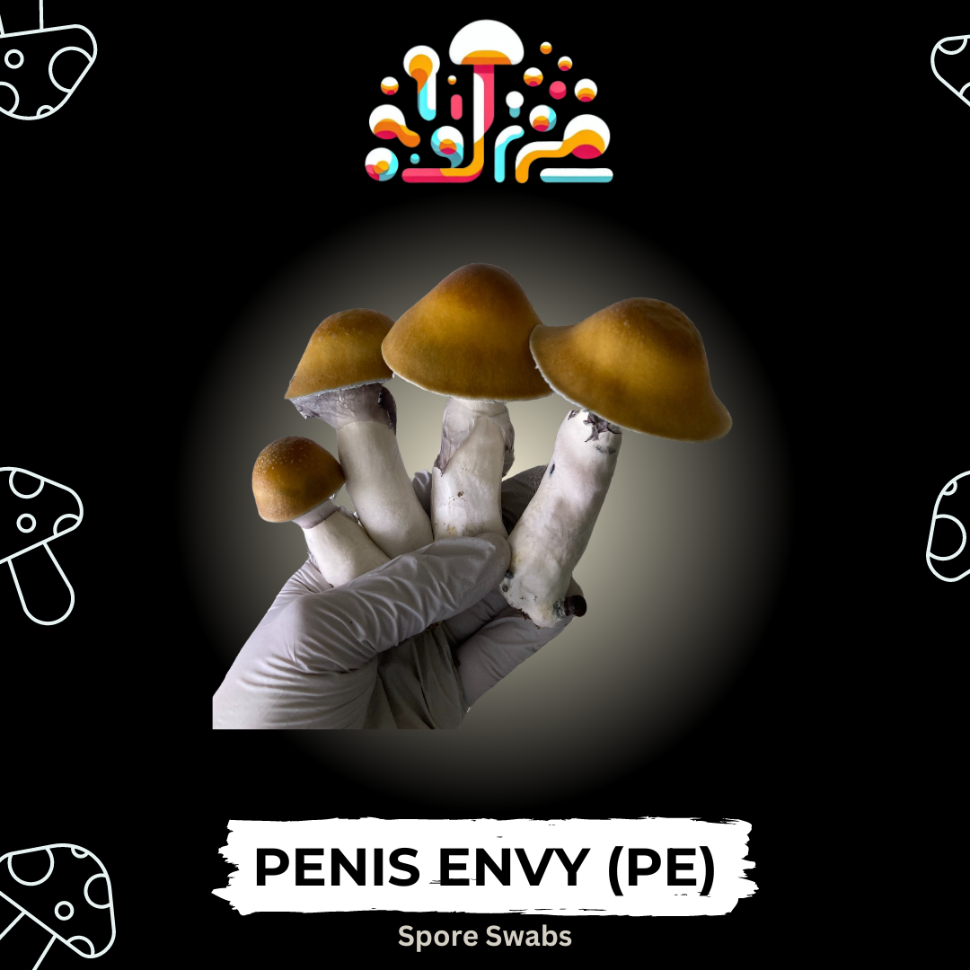Penis Envy (PE) Spore Swabs